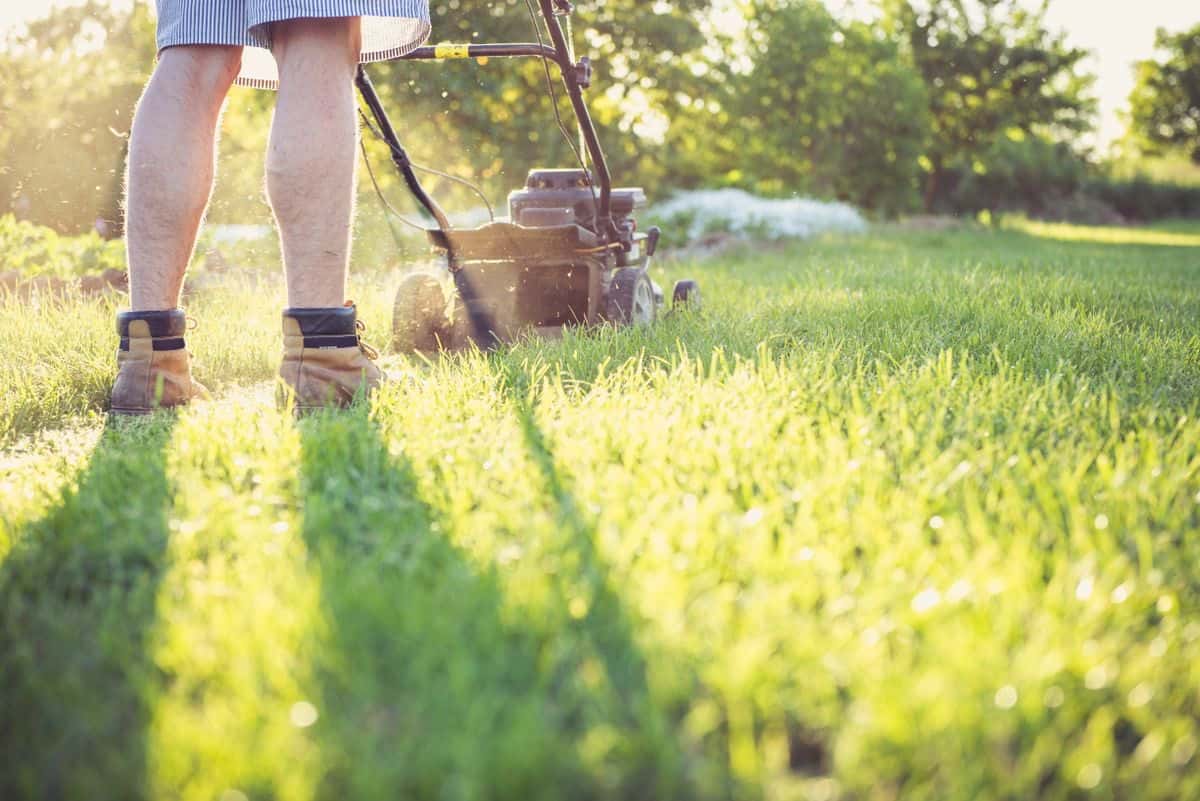 A person pushing a lawn mower across a green lawn